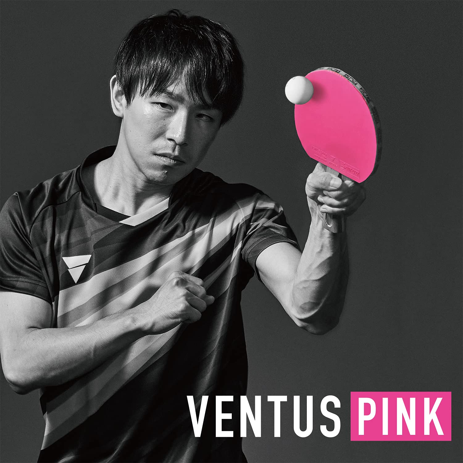 VICTAS Ventus Limber Revestimiento