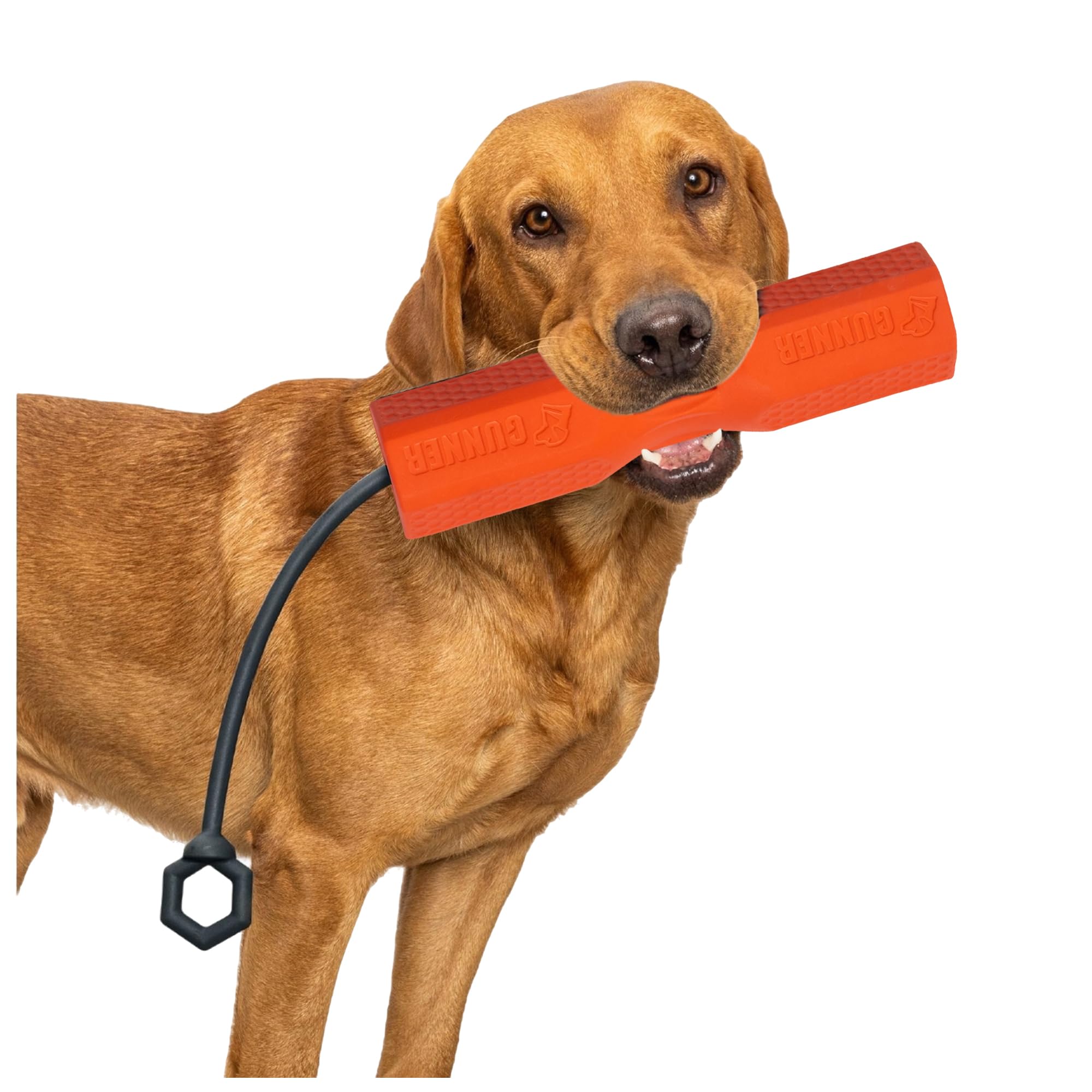 GUNNER Dog Training Bumper - Retriever Training Dummy, Retrieving Dummies for Pets, Bumpers for Water Retrieving with Adjustable Rope, (Orange)