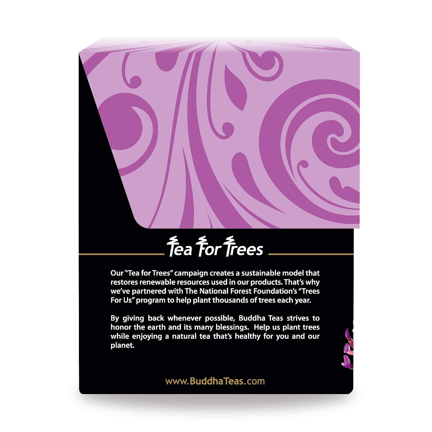 Buddha Teas Organic Astragalus Root Tea - Herbal Tea, Caffeine Free image 3