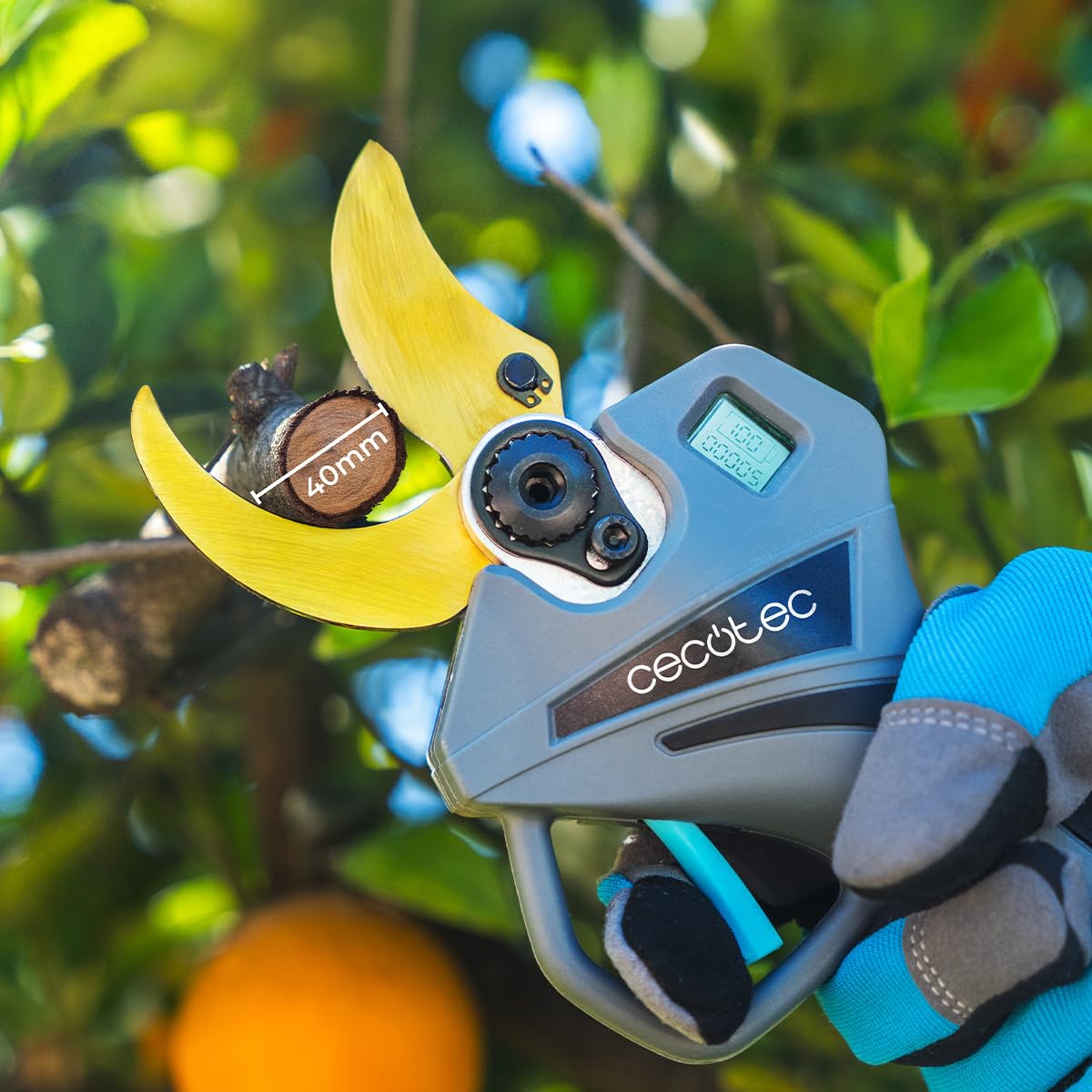 Cecotec Forbici Cesoie per Potatura Giardino Professionale TitanCut 5000. Motore Brushless 600W. Lame Acciaio con Titanio. Rami 42mm. Display Digitale. 2 Batterie 21V Incluse. Taglio Efficiente