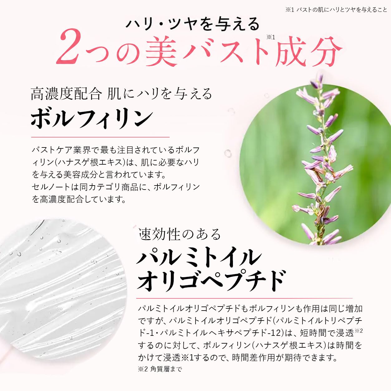 Amazon | cellnote BV LINE GEL+ セルノート ビーブイラインジェル