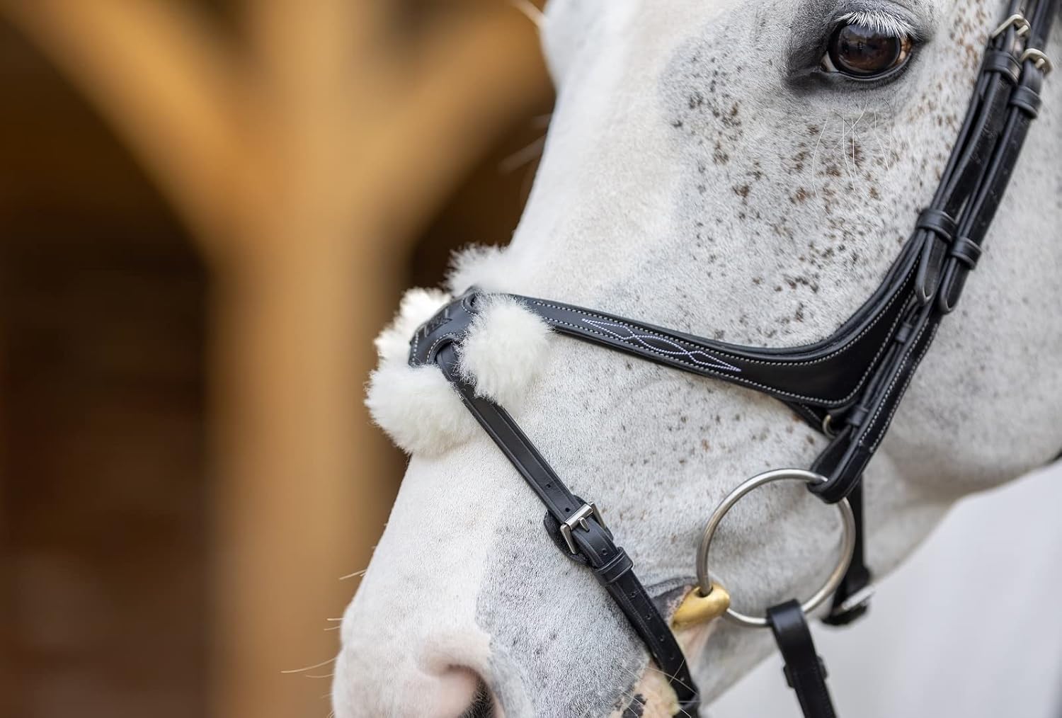 LeMieux Kudos Grackle Bridle
