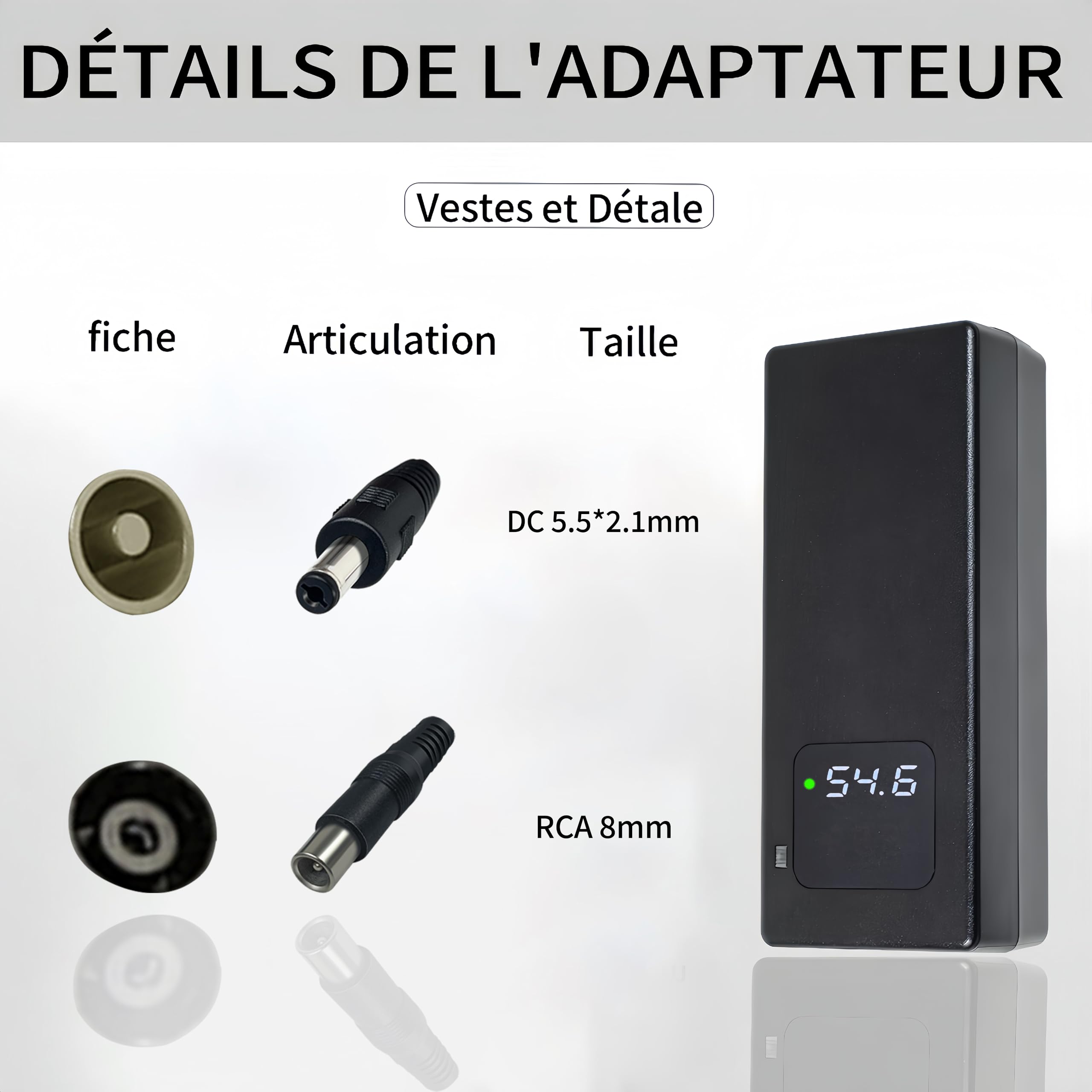 Chargeur Batterie 54.6V 2A, pour Batterie Lithium 48V, avec Affichage LED et Multiples Fonctions de Protection et de réparation, équipé de connecteurs RCA 8mm, DC 5.5 * 2.1mm