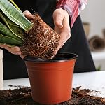 Pots de chambre de bébé, PEYOU paquet de 50 6" Pots de plantes en plastique avec trou de drainage, plants de fleurs Fournitures de jardin Pot de plantes, contenant de plantes de fleurs, pots de démarrage de semences réutilisables pour les plantes intérieures et extérieures