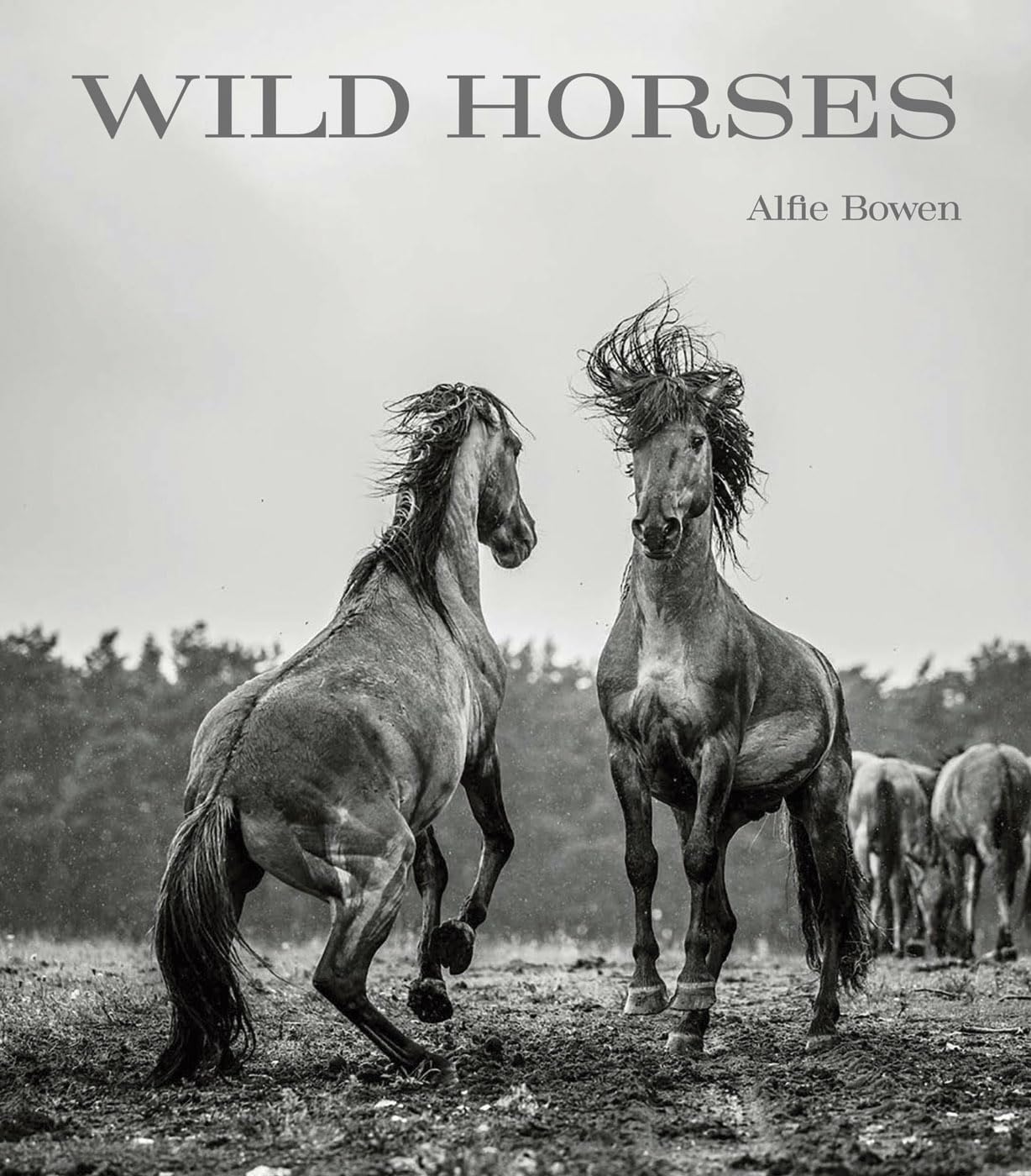 Wild Horses Bowen, Alfie 9781788842624 Books
