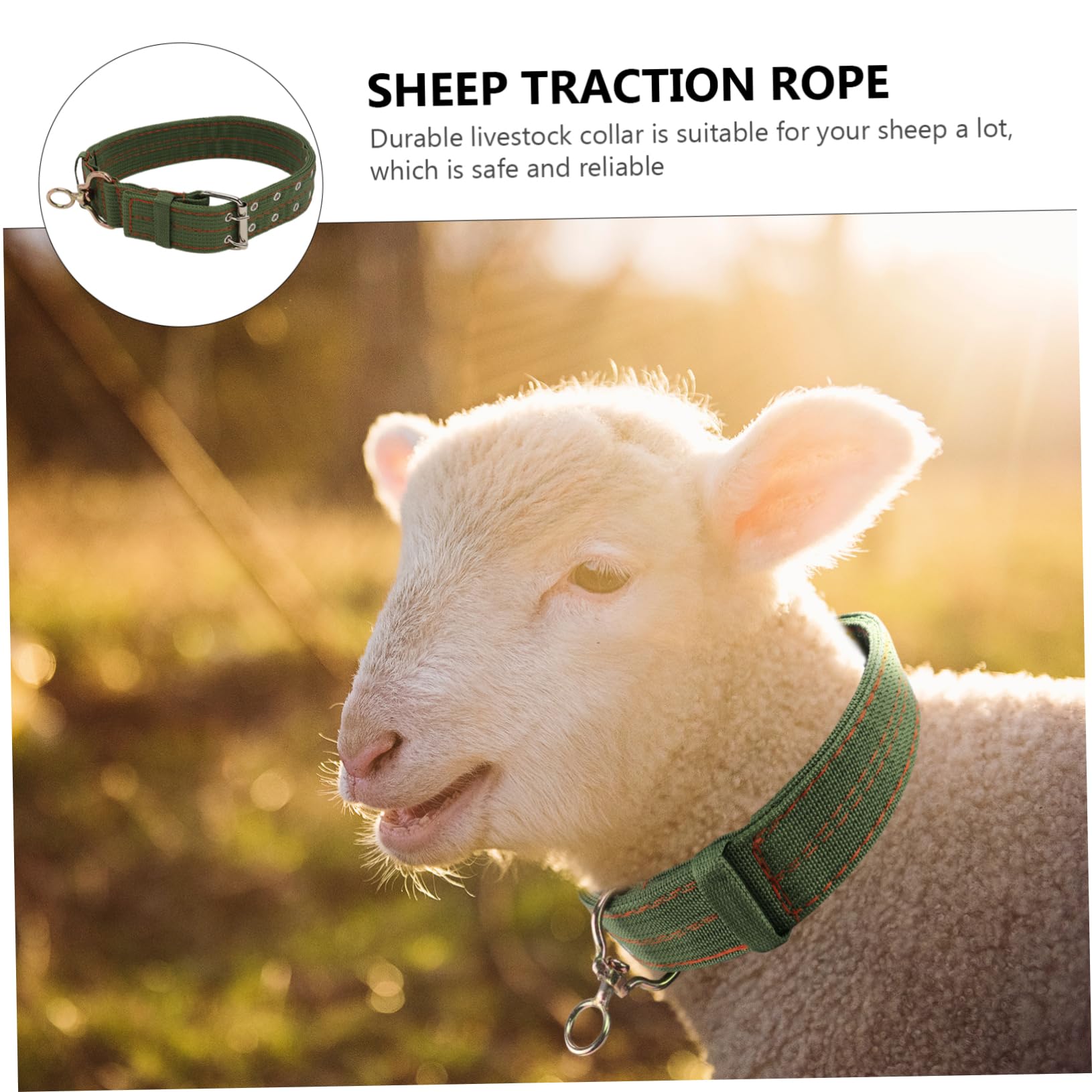 Collier pour Moutons en Toile Vert, Boucle Anti- Confortable, Réglable pour Animaux D'élevage, Traction et L'attache du Bétail