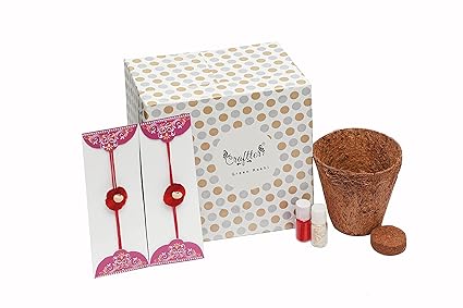 Craftter Green Natural Eco-Friendly Cotton Embroidery Designer Sustainable Rakhi with Seed with Planter and Roli Pack Set for 2 Brother Kids