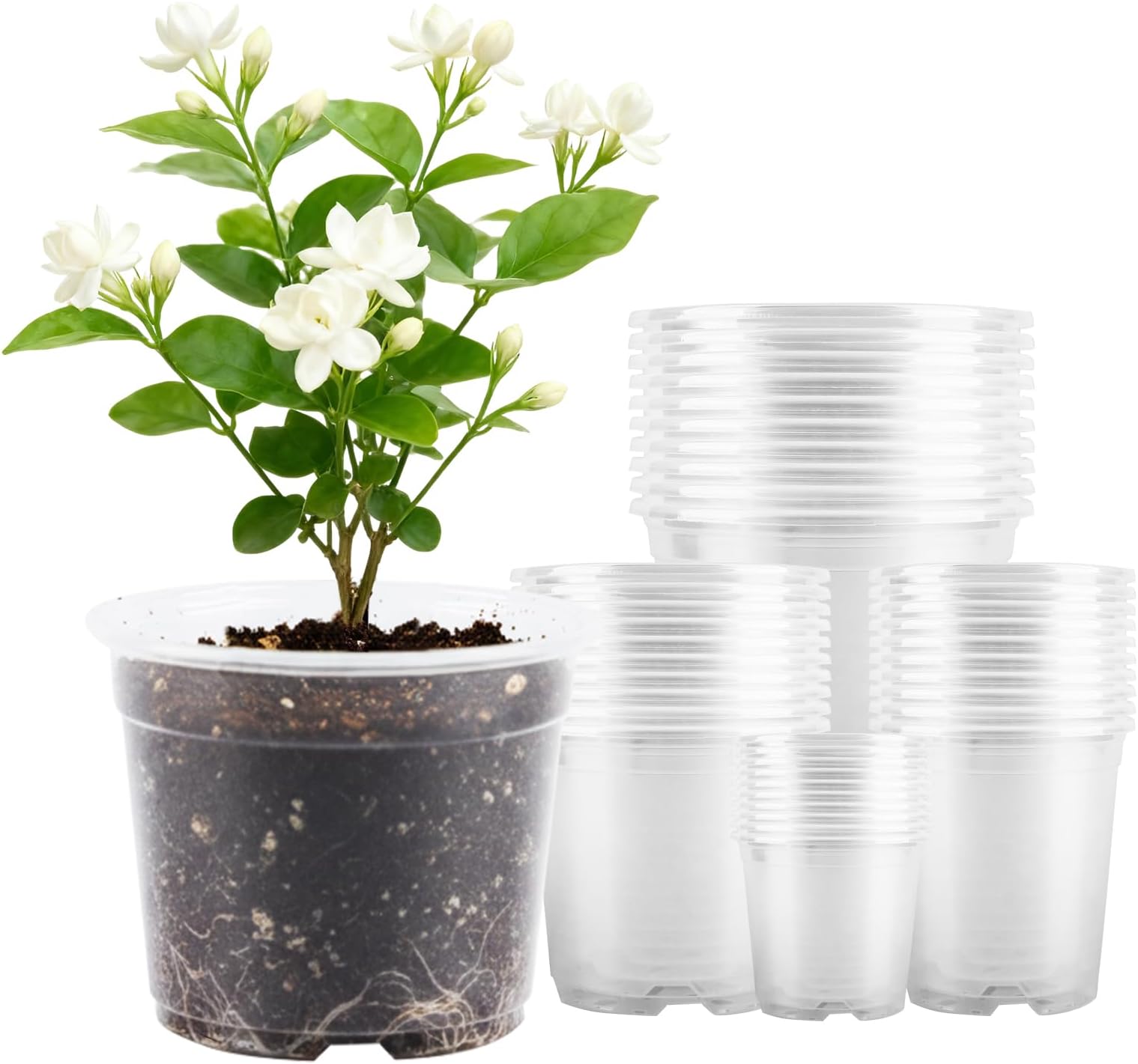 40 Pcs Seed Starter Pots Kit 2.5/3.5/4/5 Inch Clear Nursery Pots for Plants for Seedlings,Succulents,Plastic Nursery Pots with Drainage Holes (10 of Each Size),Garden Pot for Outdoor Indoor (Size A)