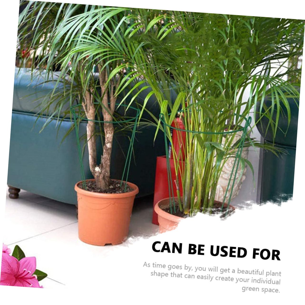 Toyvian Tuteur de Support pour Plantes Demi-Rond 6 Pièces en Fer Vert