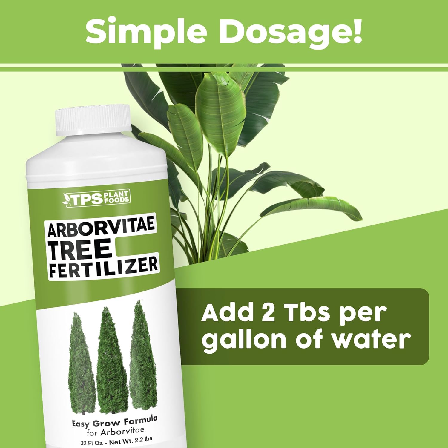 Arborvitae Tree Fertilizer – Liquid Plant Food for Fuller Green Foliage, Faster Growth & Stronger Root Development, 32 oz