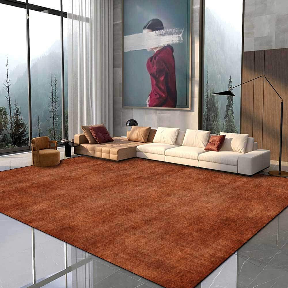 Tapis doux salon grand format marron antidérapant lavable