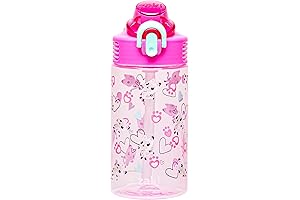 Zak Designs Reusable Water Bottle for Kids