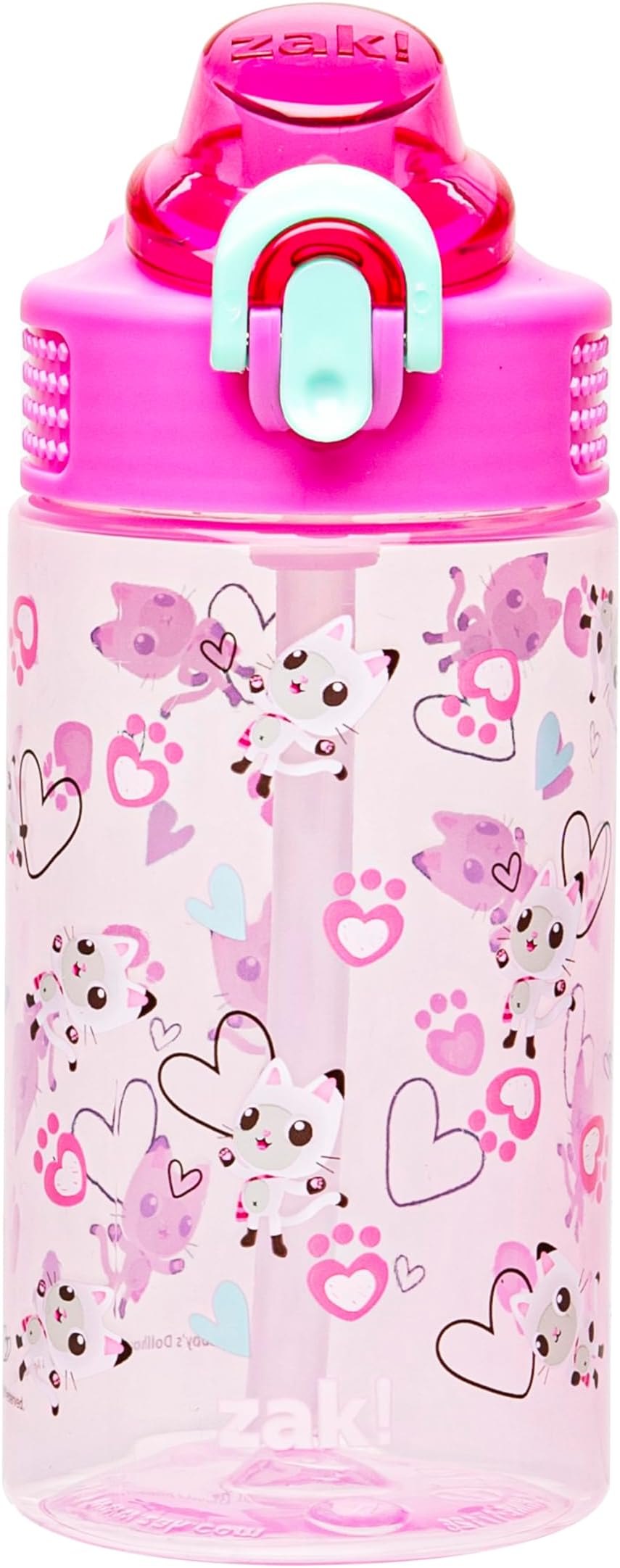 Zak Designs DreamWorks Gabby's Dollhouse Sage Water Bottle For School or Travel, 16oz Durable Plastic Water Bottle With Straw, Handle, and Leak-Proof, Pop-Up Spout Cover (Pandy Paws)