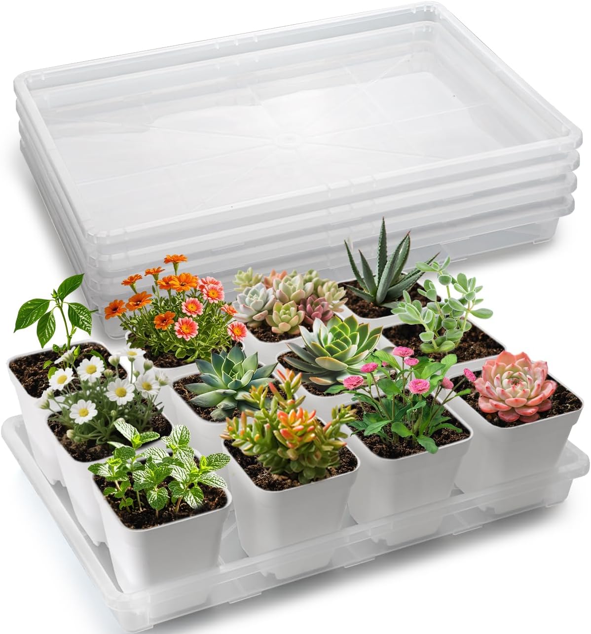 Clear Seed Starter Trays 5 Pack(17"x11"x2"), Reusable Plastic Carrying Seedling & Nursery Trays, Durable Flat Pots Trays, Transparent Square Tray for Planting and Collecting Drainage Water