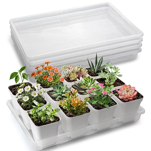 RooTrimmer Clear Seed Starter Trays 5 Pack(17"x11"x2"), Reusable Plastic Carrying