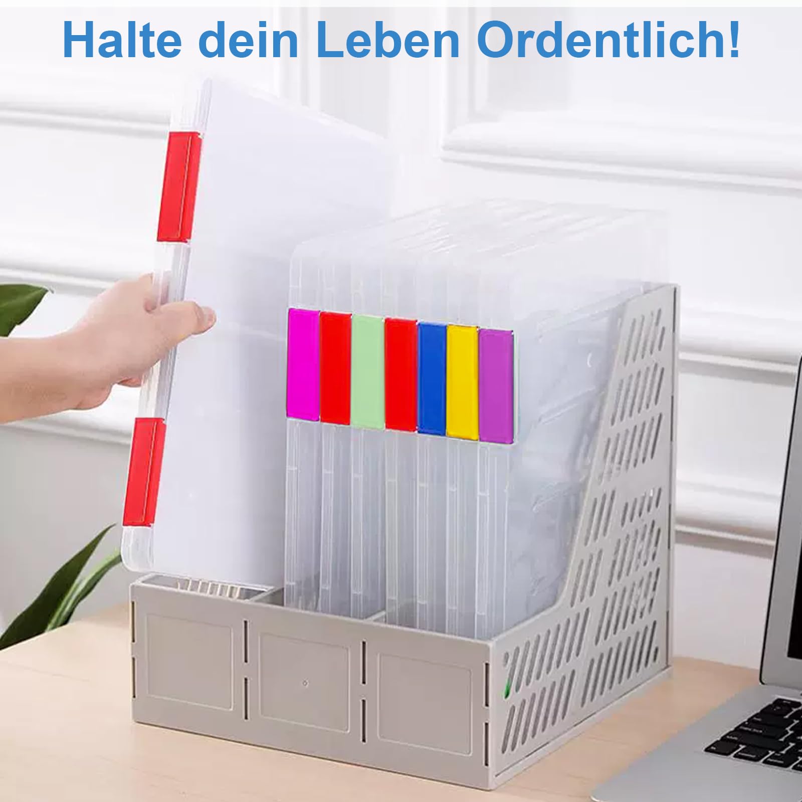 Polegas 6 confezioni di scatole portadocumenti A4, scatole trasparenti con chiusure a clip di diversi colori, scatole con coperchio per conservare carta, materiale artistico, mattoncini da costruzione