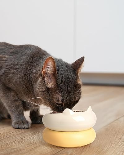 Miniatura 7 de Cuenco para gatos, cuencos de cerámica para gatos y agua, aptos para bigotes, lindos cuencos de comida para gatitos para proteger la columna