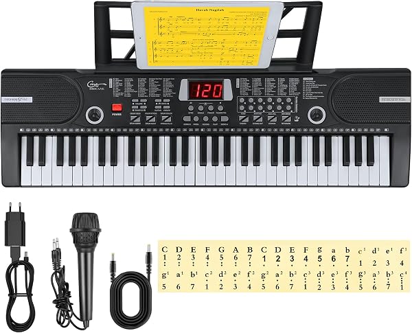 Hricane Clavier électronique 61 touches pour enfants, l'instrument de piano électronique portable pour débutant avec microphone, pupitre, autocollant (noir) - 1