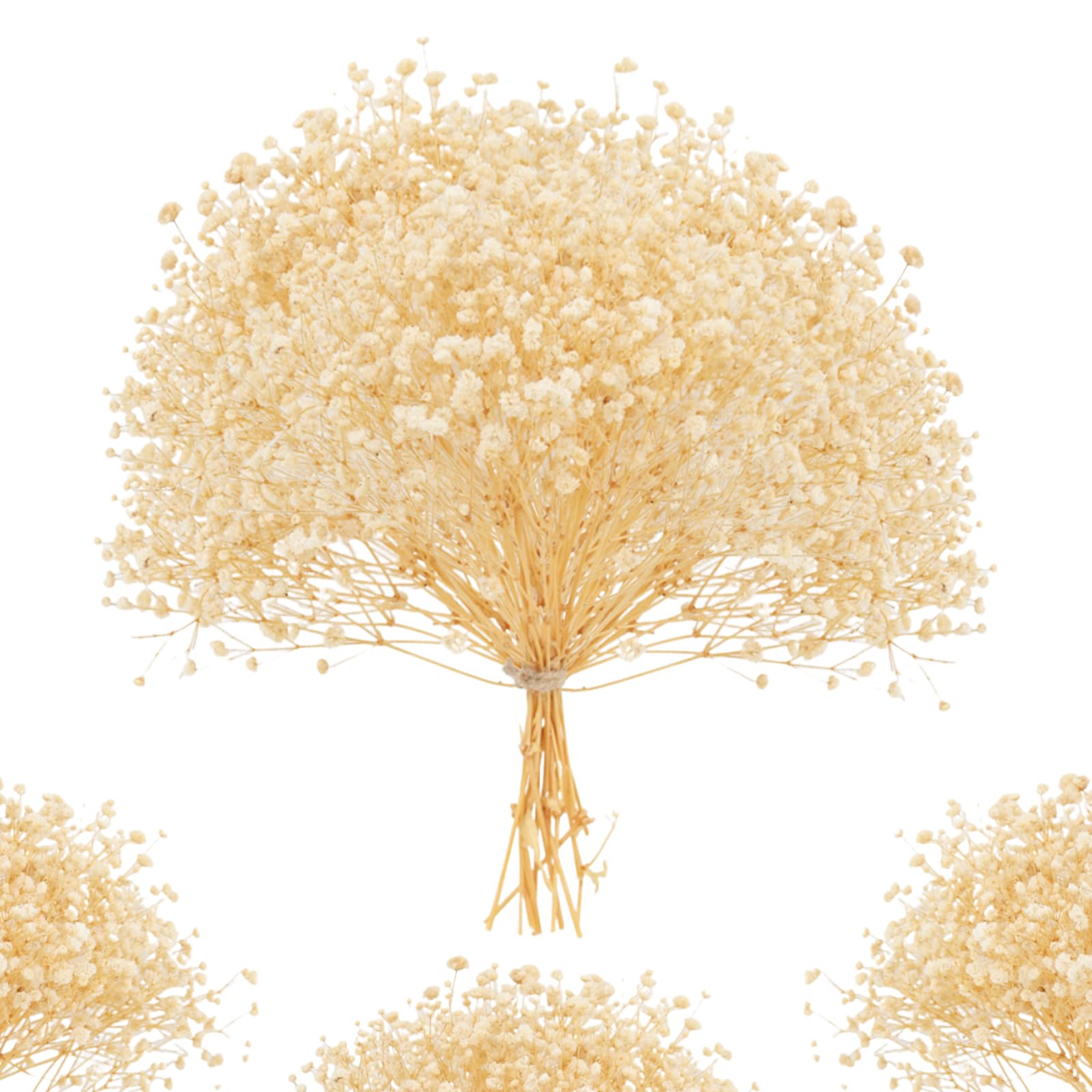 ForestM 100PCS Dried Pressed Flowers, Natural Dried Gypsophila Mini Breath Flowers, Real Natural Dried Flower for Vase Crafts