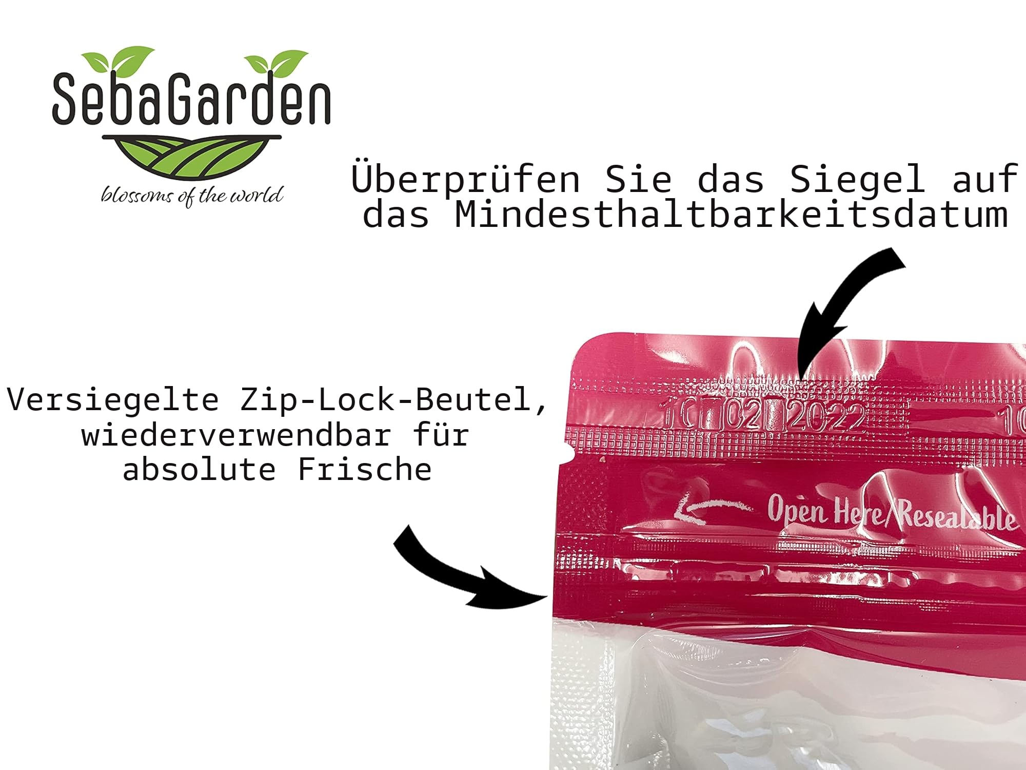Seba Garden Pekannüsse, Pekannusskerne 1 kg, ungesalzen, natürlich glutenfrei, ohne Konservierungsstoffe, ohne Gentechnik, Keto, Paleo, vegan