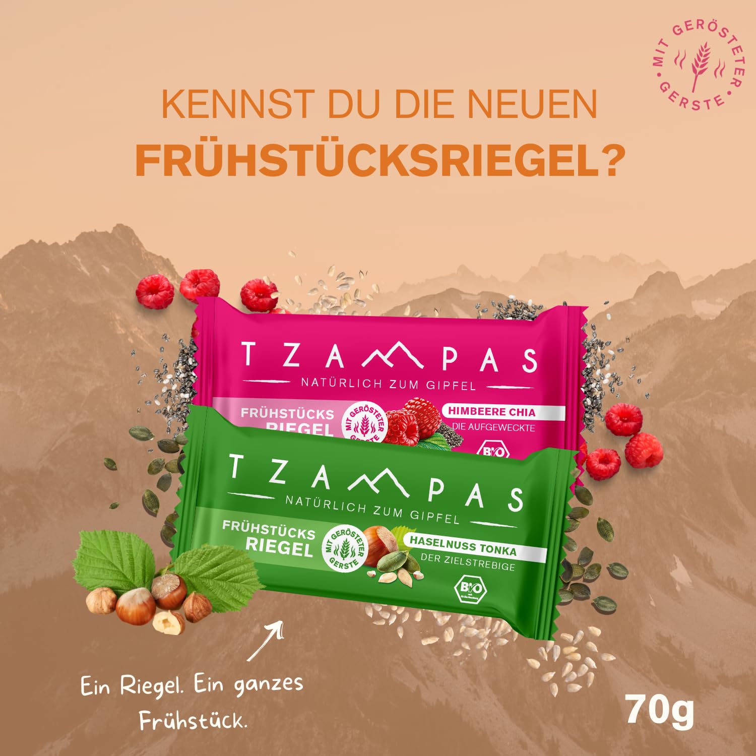 Best of TZAMPAS Mix Box Groß (16x40g) - Energieriegel aus gerösteter Gerste in der Snack Box - Power Riegel | Energieriegel geeignet für Radsport und Trailrunning - Bio Riegel vegan & ohne Zusätze