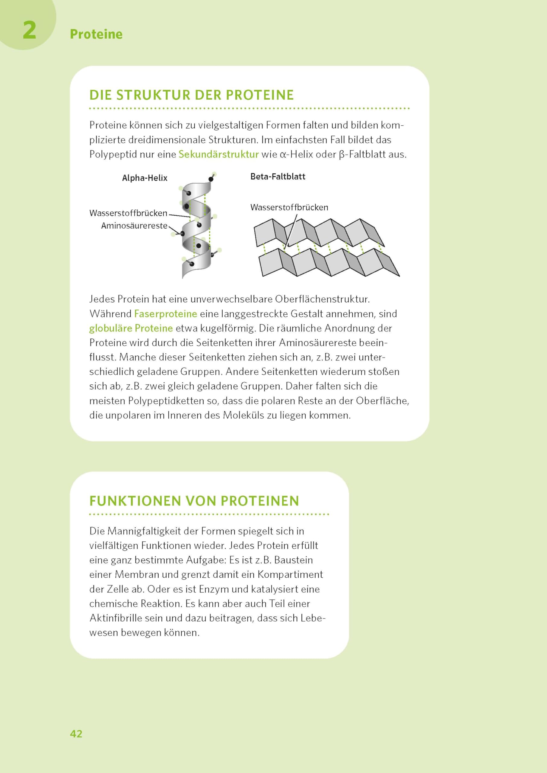 PONS Abi-Check XXL Biologie: Umfangreiches Abi-Wissen mit Prüfungs-Check