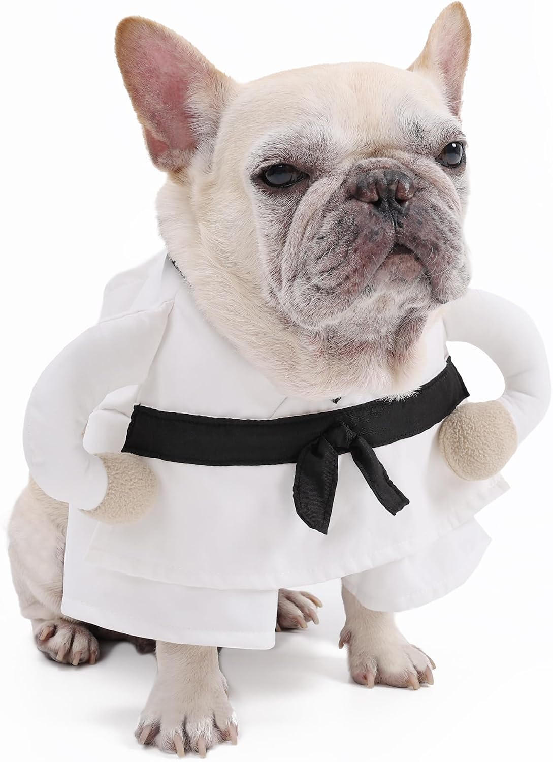 Disfraz de Karate para Perros y Gatos ETIAL - Talla M