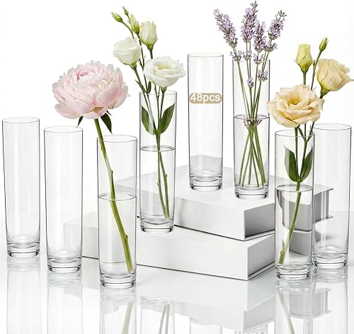 Didaey 48 Pcs Acrylic Bud Vases Clear, Cylinder Vase for Rose Centerpieces | Tall Clear Plastic for Single Rose Stems, Wedding Table Decor, Home Desk Centerpieces, Party Decorations, Bulk Set