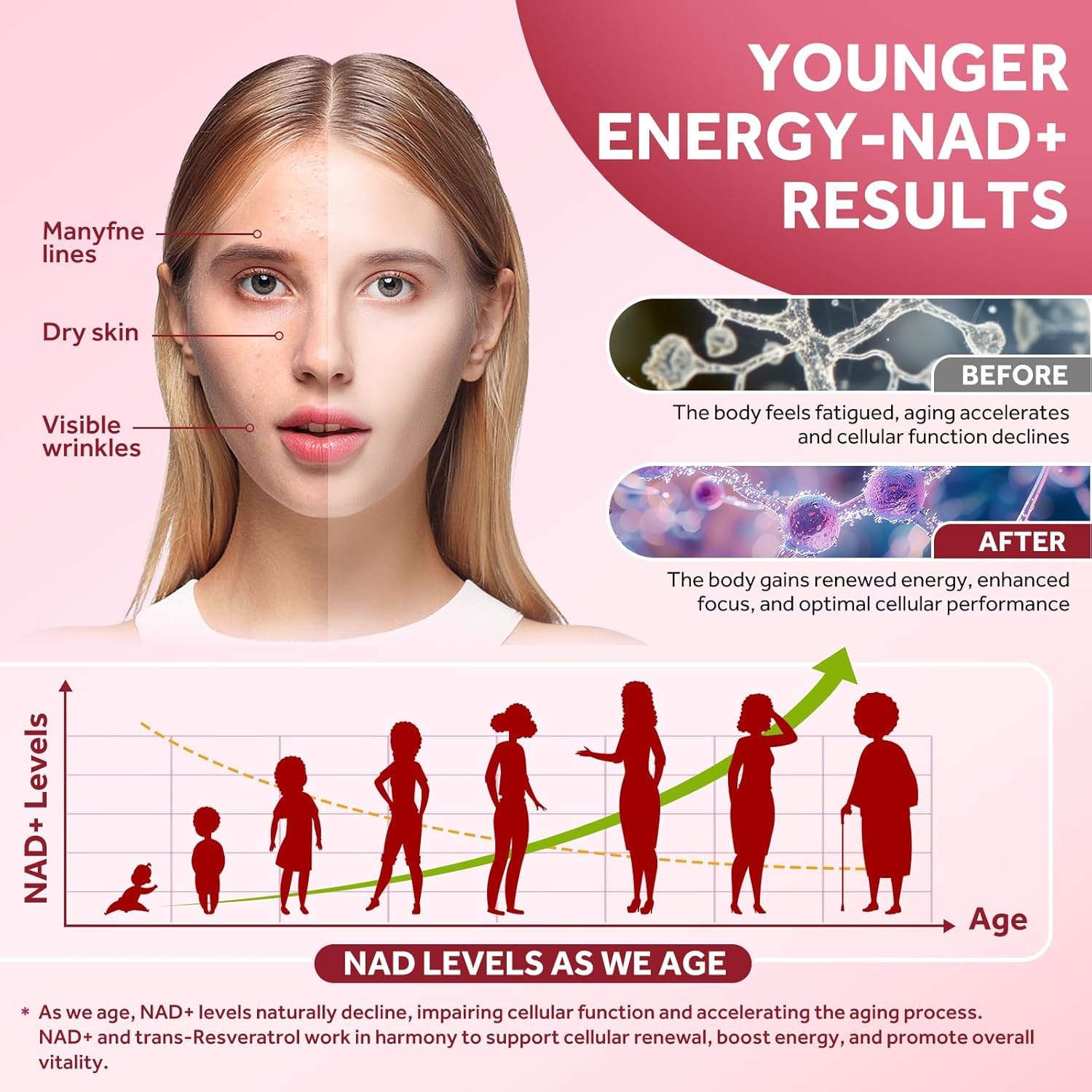 Liposomal NAD Supplement - 1200mg NAD+ Liquid Drops for Women & Men with Nicotinamide, Resveratrol, Quercetin, TMG, Black Pepper Extract - Brain & Cellular Mitochondrial Health, Anti-Aging, Longevity - Image 4