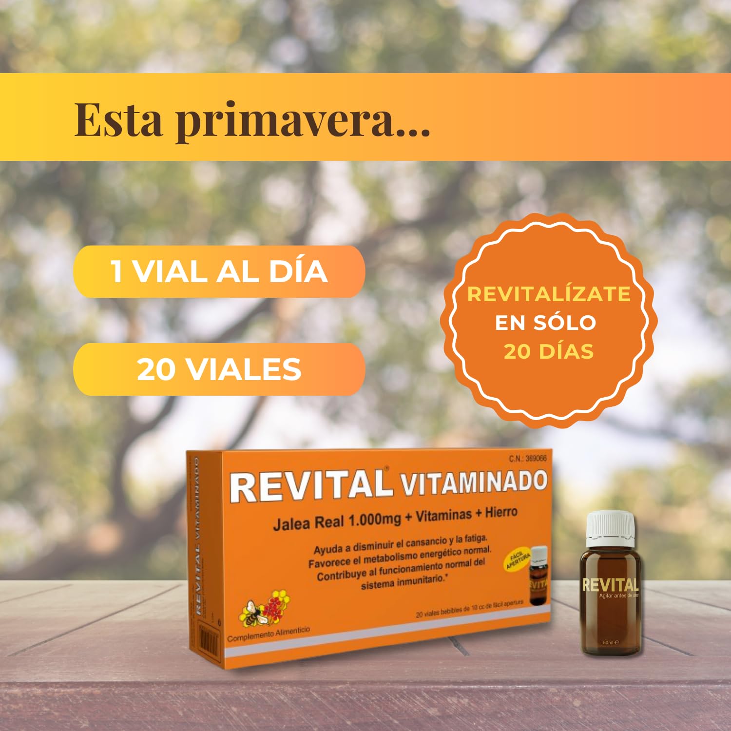 Pack Vitalidad Senior - Revital Vitaminado + Revital Senior 30 Cápsulas - Ayuda a Mejorar el Rendimiento Cognitivo y a Disminuir el Cansancio y la Fatiga - con Jalea Real, Ginkgo Biloba y Vitaminas