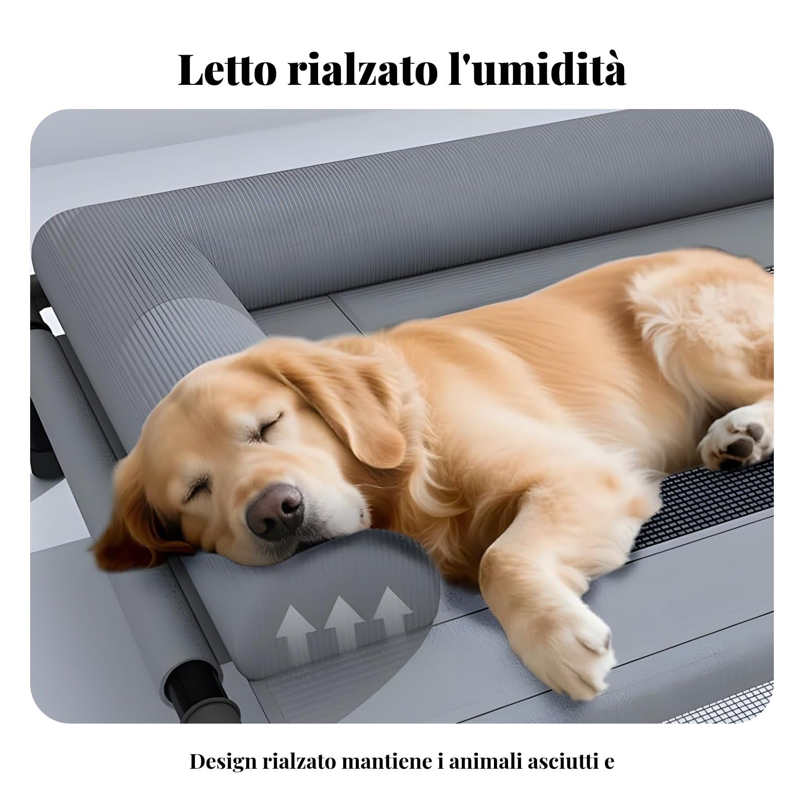 predolo Letto Rialzato per Cani Rimovibile e Lavabile, Lettino Rialzato per Cani, Resistente All'umidità Cuccia in Rete Traspirante, Divano per cani Estate, Esterni, Interni, Cuscino A L