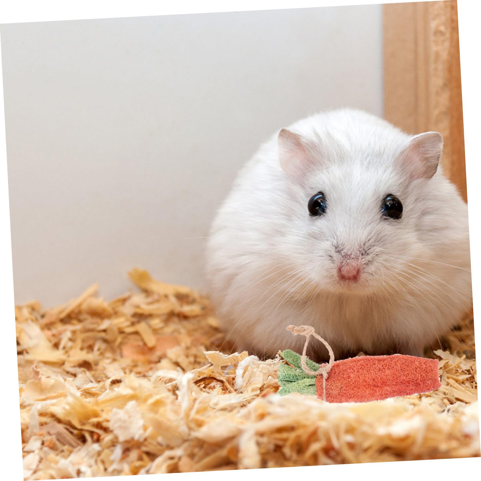 Hohopeti Et Jouets pour Hamsters en Tube Matériau Naturel Petits Jouets Molaires Recherche De Nourriture Soins À Mâcher Couleur Aléatoire