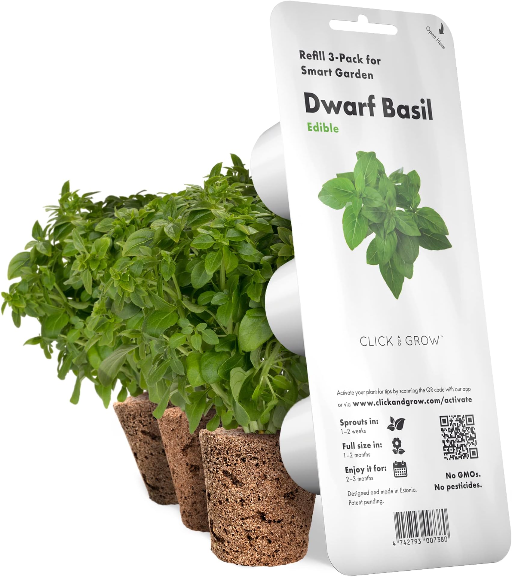 Smart Garden Dwarf Basil Plant Pods, 3-Pack