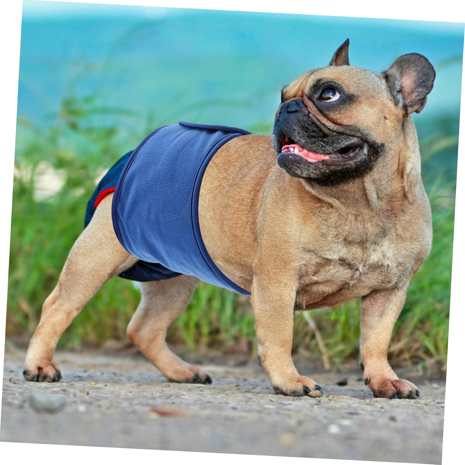 Mipcase 4pcs Washable Belly Band for Male Dogs Reusable Dog Diaper for Comfortable for Home Travel Needs