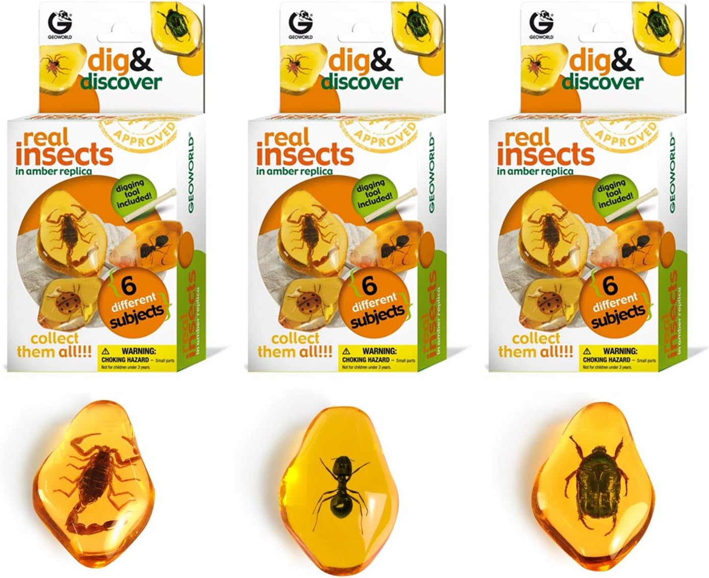 Geoworld Real Insects Dig and Discover (Set 1)