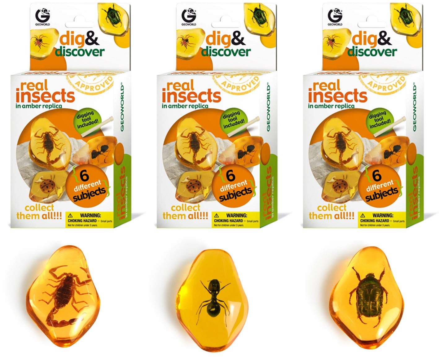 Geoworld Real Insects Dig and Discover (Set 1)