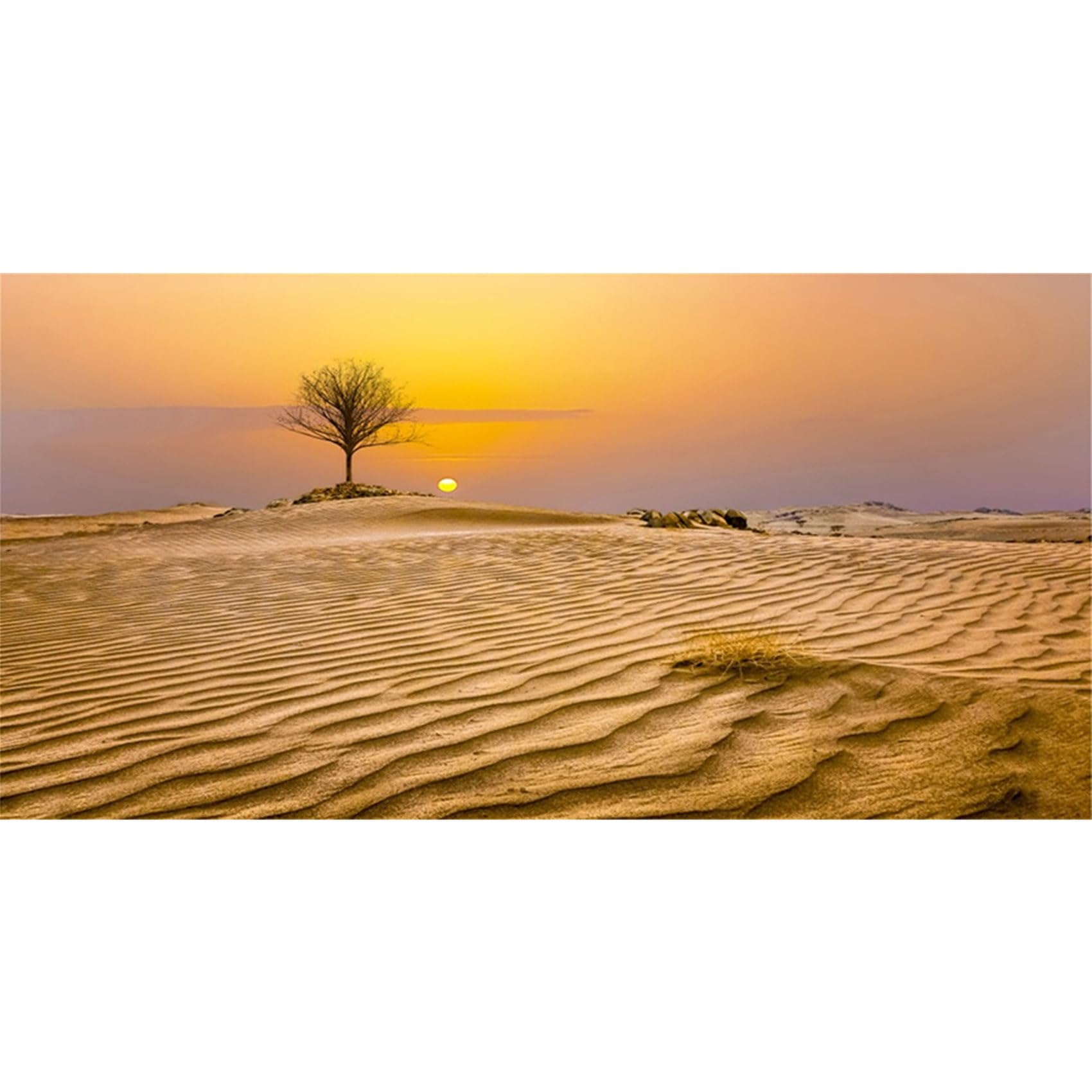 MIRRORANG 61x41cm Sun and Desert Terrarium Background Tree Oasis Gobi Reptile Habitat Background Durable Vinyl Background โ image 1