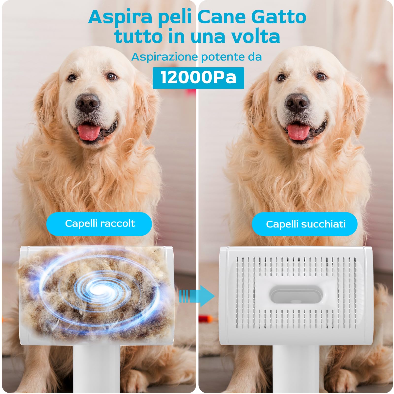 Morpilot Tosatrice per cani con aspirapolvere, super aspirazione con 12000 Pa aspira il 99,99% dei peli di animali domestici