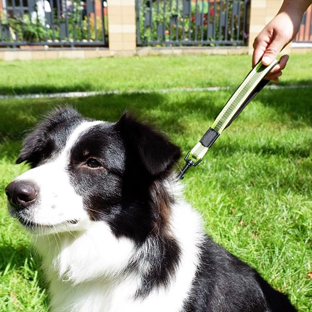 Kurze Hundeleine – Nur 38 Cm, Mit Gepolstertem Griff & Robustem Clip – Perfekt Für Große Hunde In Der Stadt