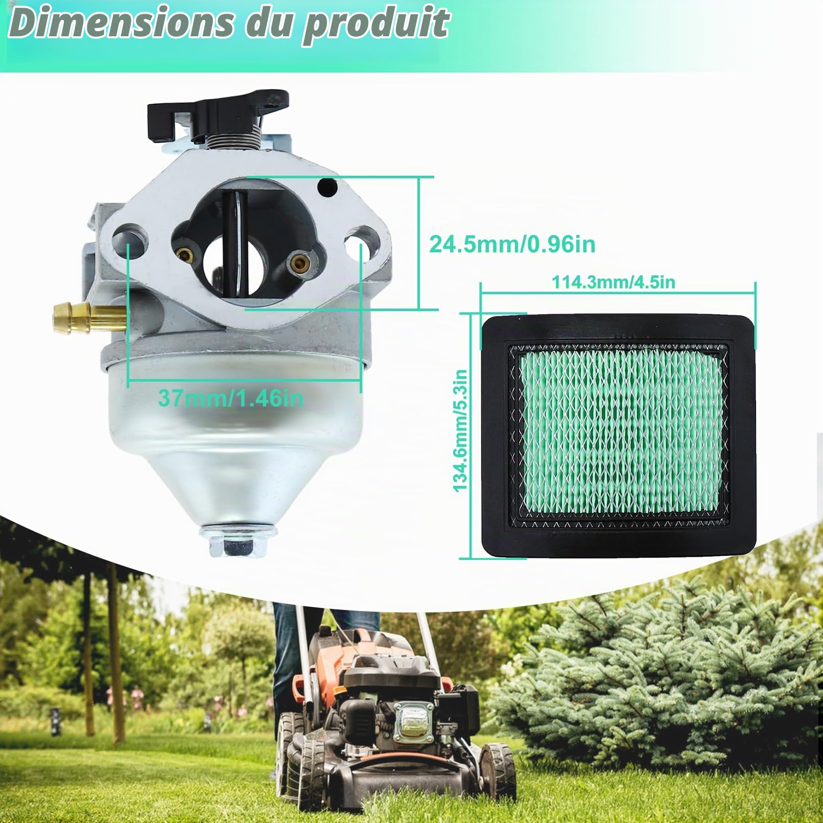 ADEFOL Kit carburateur pour Honda moteur GCV190 et tondeuse à gazon HRB217 HRX217, Carburateur + Filtre à air + Joints + Bougie d'allumage + Filtre à carburant accessoire kit 9 en 1