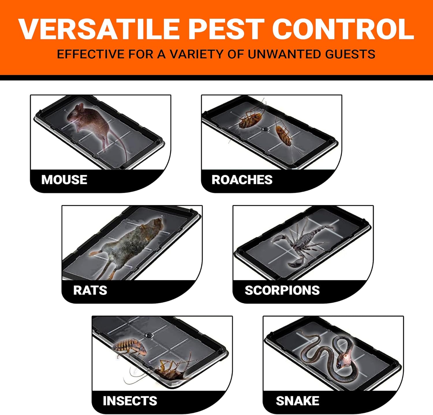 Glue Mouse Traps Indoor for Home (24 Pack), Small Glue Mice Traps, Pre-Baited Peanut Scent Sticky Mouse Traps for Small Mice, Insects, Rodent, Bug & Spiders, Pet & Family Safe (Small, 24pk)