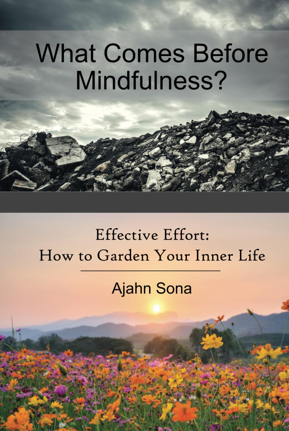 What Comes Before Mindfulness?: Effective Effort: How to Garden Your Inner Life