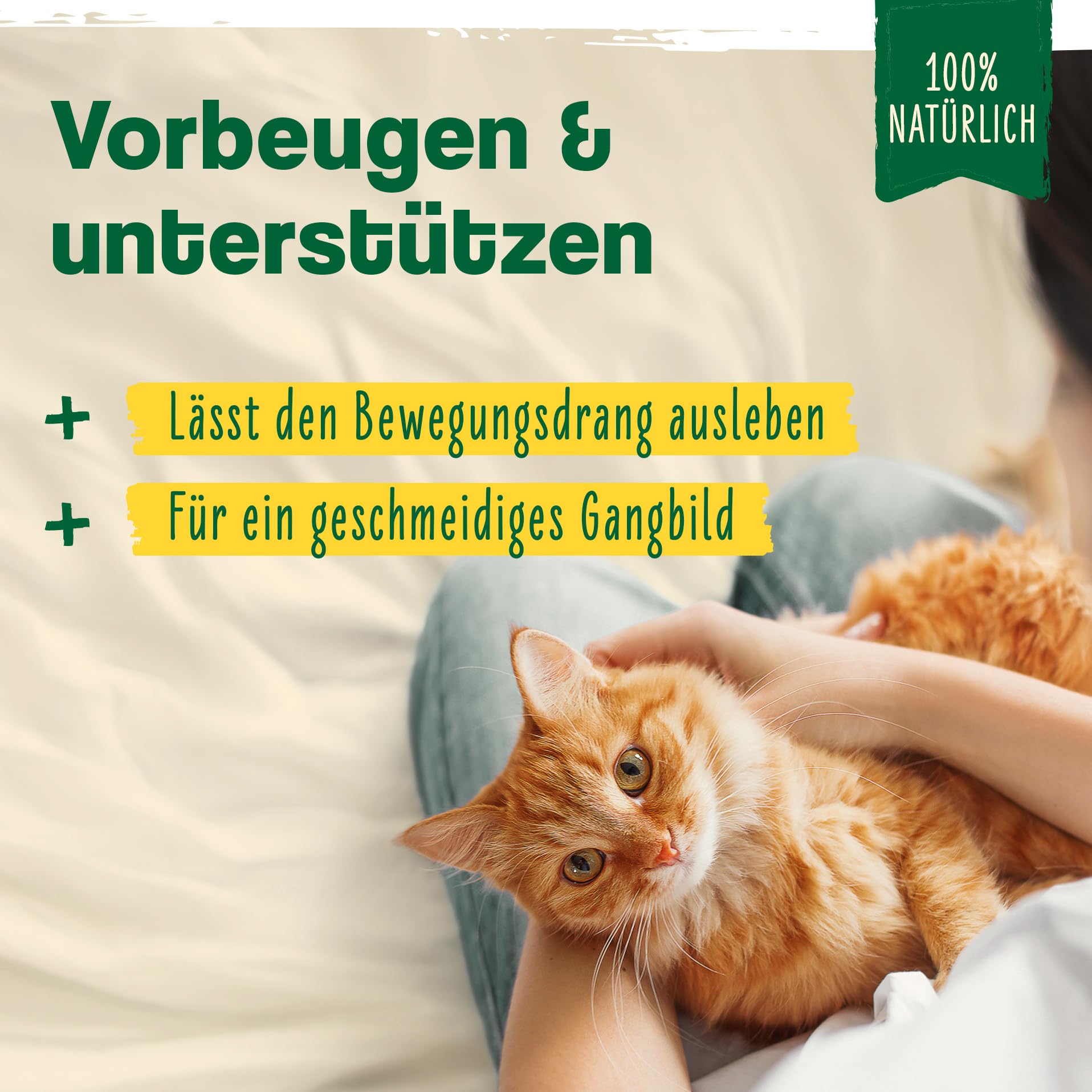 Ida Plus - 100% polvo de mejillón verde para gatos -100 g - mejillón de labios verde para apoyar la función articular - Grasa completa - Sin aditivos - con glicosamaminoglicanos omega 3