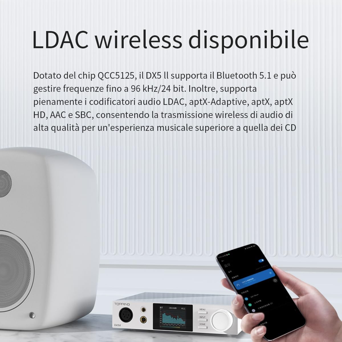 Topping DX5 II Amplificatore DAC Bilanciato 7600 mW ES9039Q2M DSD512 768 kHz USB Ottico Coassiale RCA XLR 6,35 mm 4,4 mm Argento