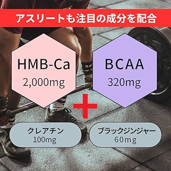 BCAA HMB セット Amazon.co.jp: 【アウトレット】HMB+BCAA 500mg 120粒 3個セット