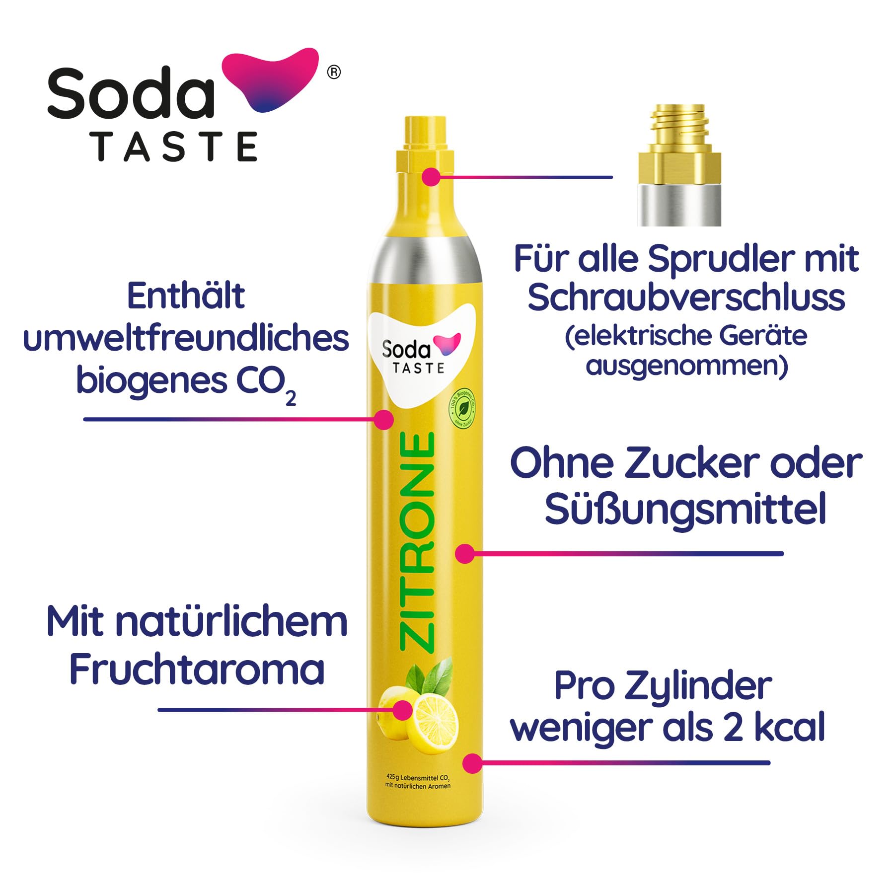 Mysoda: Woody bruiswatermaker van houtcomposiet met 1 liter waterfles en CO2 -cilinder - Grijs