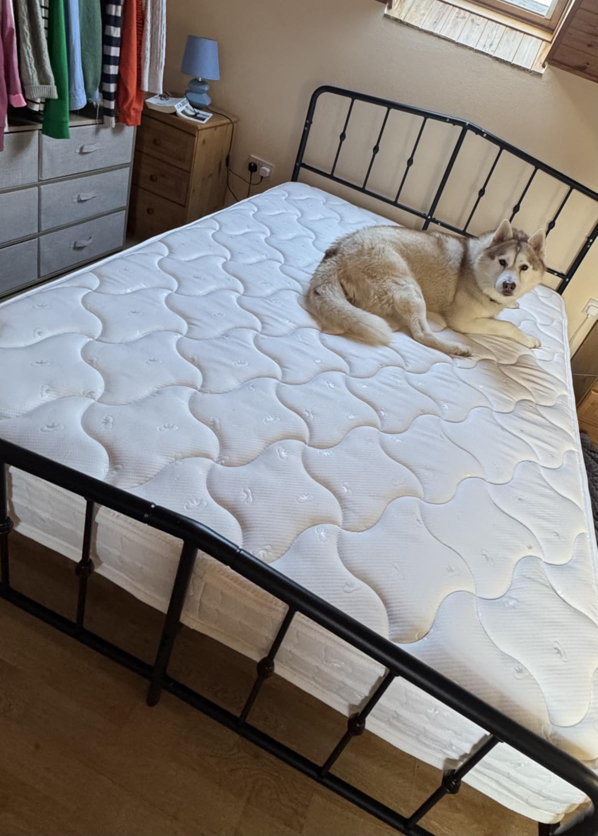 Customer photo
