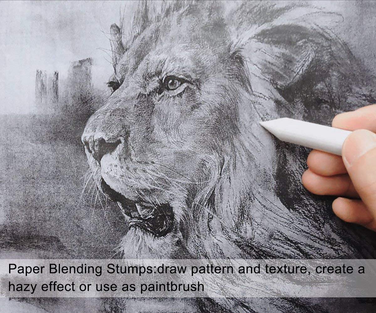 Zzone Colour Sketch Pencils Set, Shuttle Art Sketching And Drawing