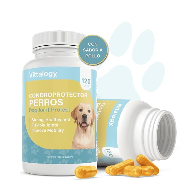 Foto 2 de 8 de Condroprotector para Perros. Antiinflamatorio Natural con Colágeno, Condroitina, Hialurónico y Cúrcuma