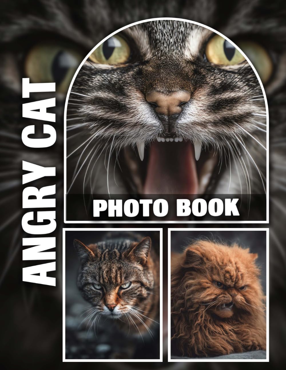 Angry Cat Photo Book: 40 Vibrant Images Portraying Moody Feline Expressions and Playful Antics | Ideal Decor for Cat Lovers' Homes and Offices